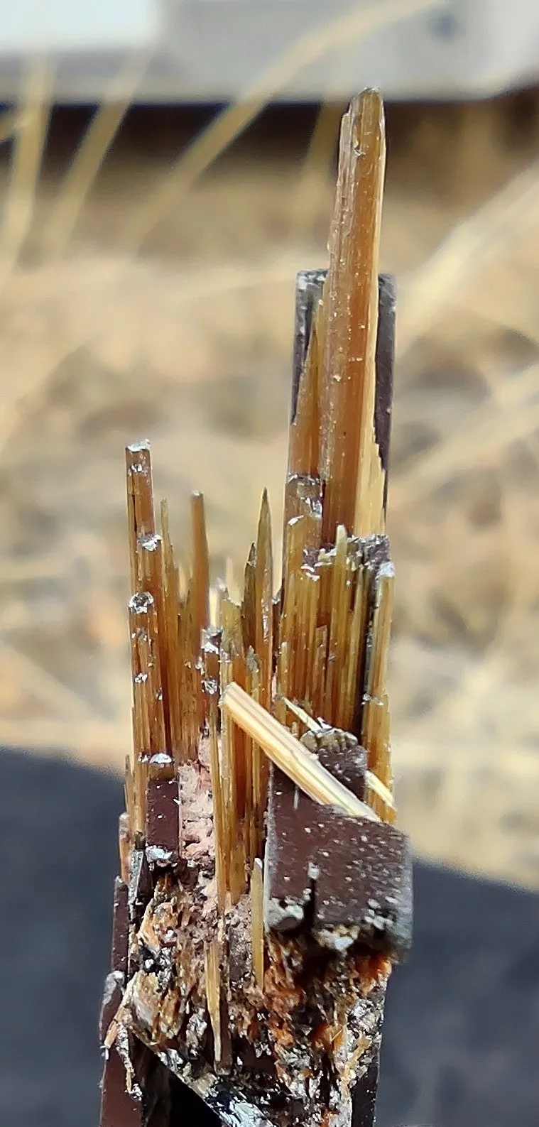 17.2 G EPITAXIAL RUTILE ON HEMATITE