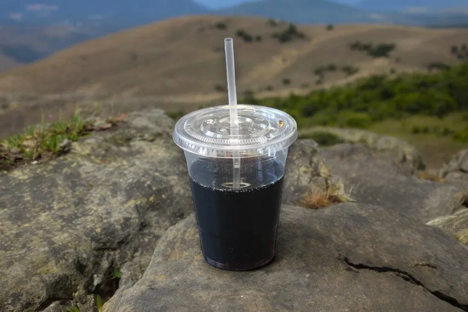 9 OZ CLEAR PLASTIC PET COLD CUPS 1000CT