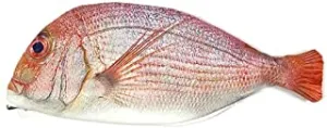 allydrew Fish Novelty Pouch for Stationery Tools and Cosmetics, Fish Shaped Clutch, Pink Fish
