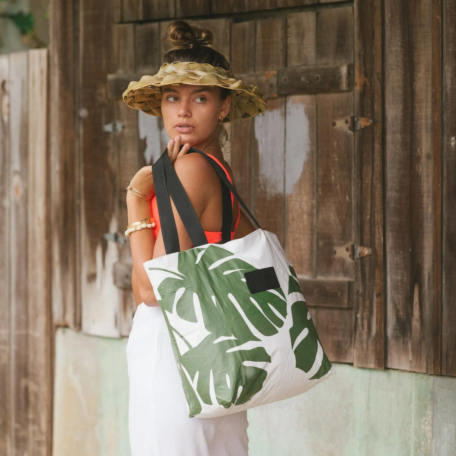 Aloha Monstera Day Tripper