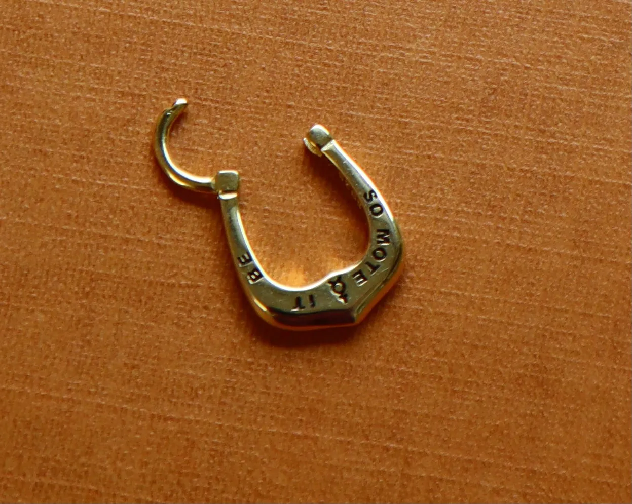 AUMAROGEMS Magic Horseshoe Charm