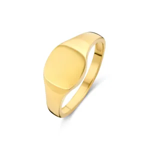 Bague chevalière - Or Jaune (062034)
