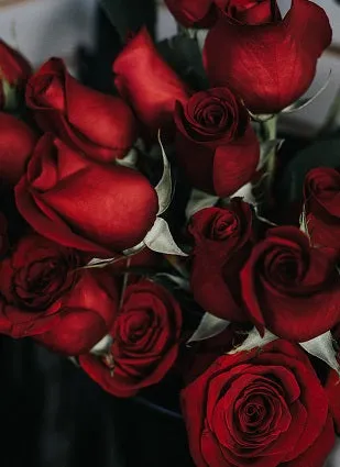 Bed of Roses Gift Set