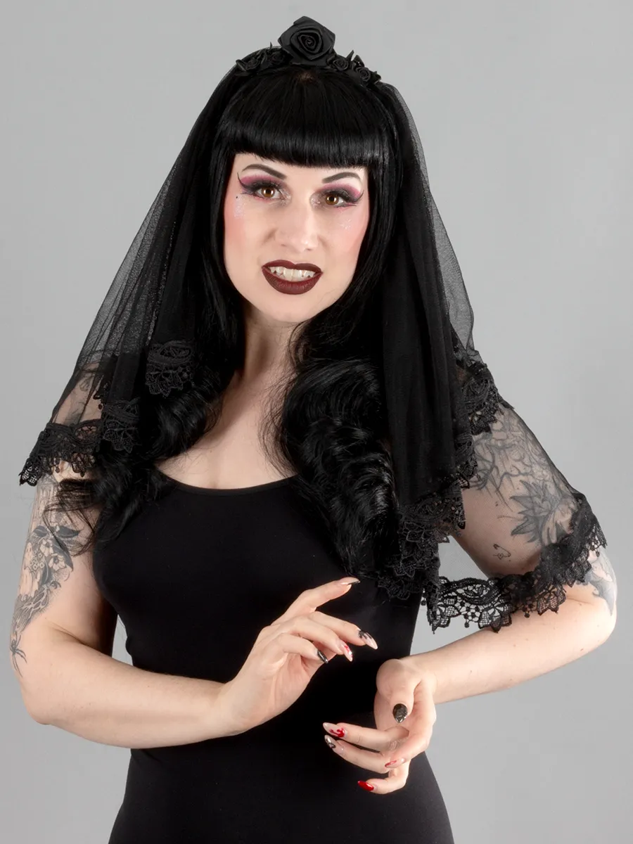 Black Mesh Veil with Lace Trim