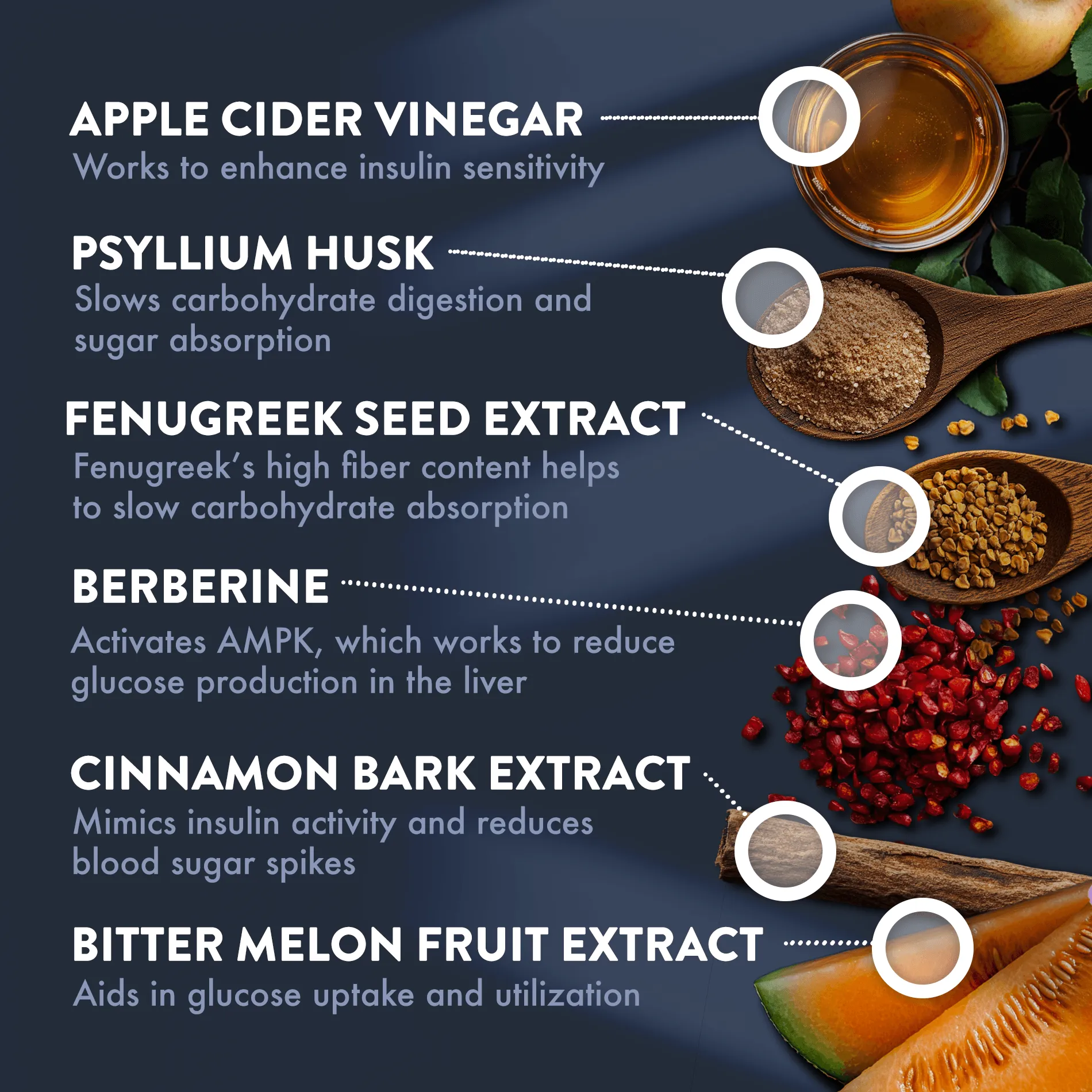 BLOOD SUGAR SUPPORT 60CT CAPS