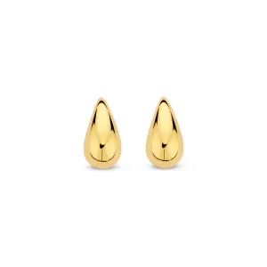 Boucles d'oreilles Naiomy - Plaqué or (N4D65)