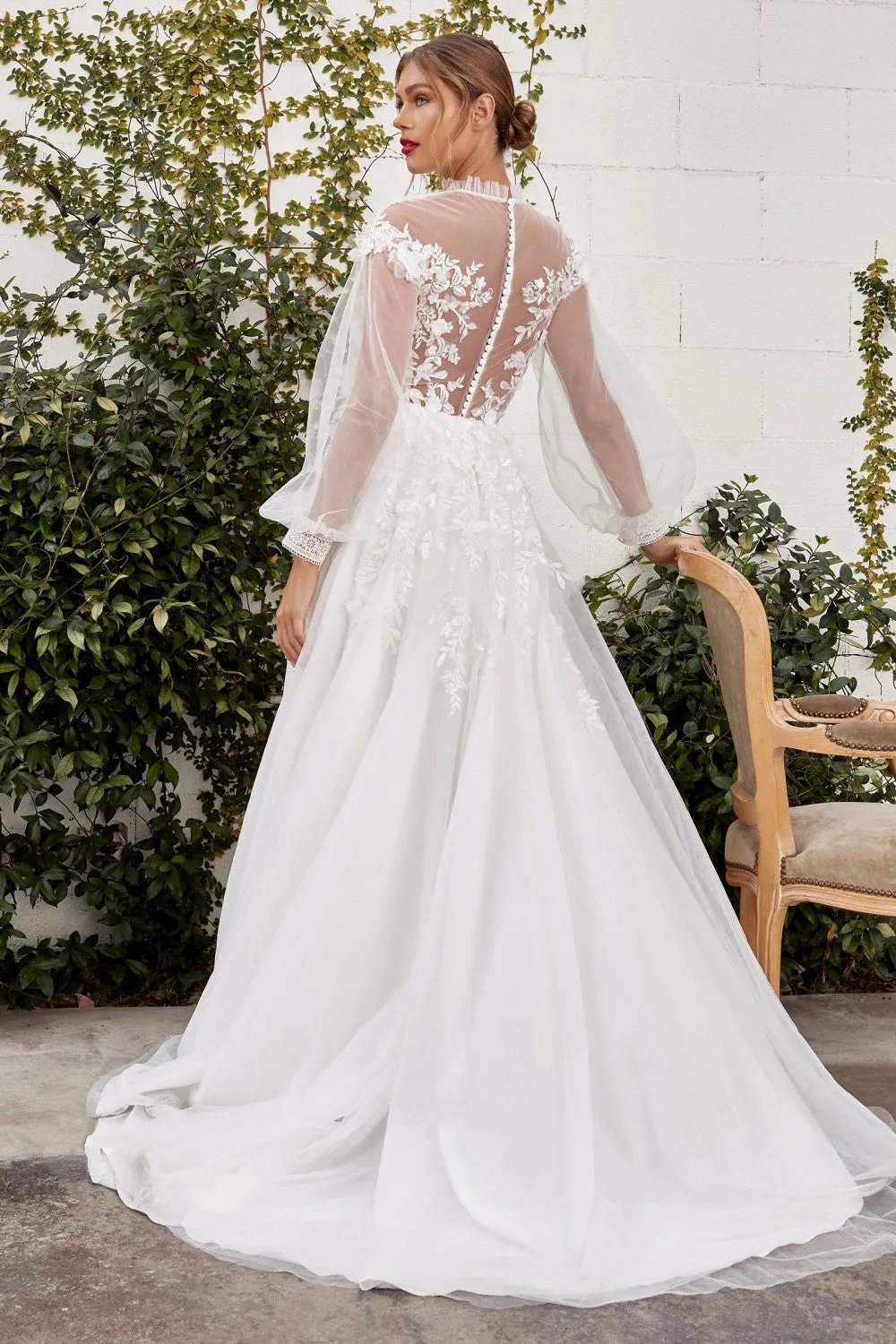 Cinderella Evening Dress A1074W