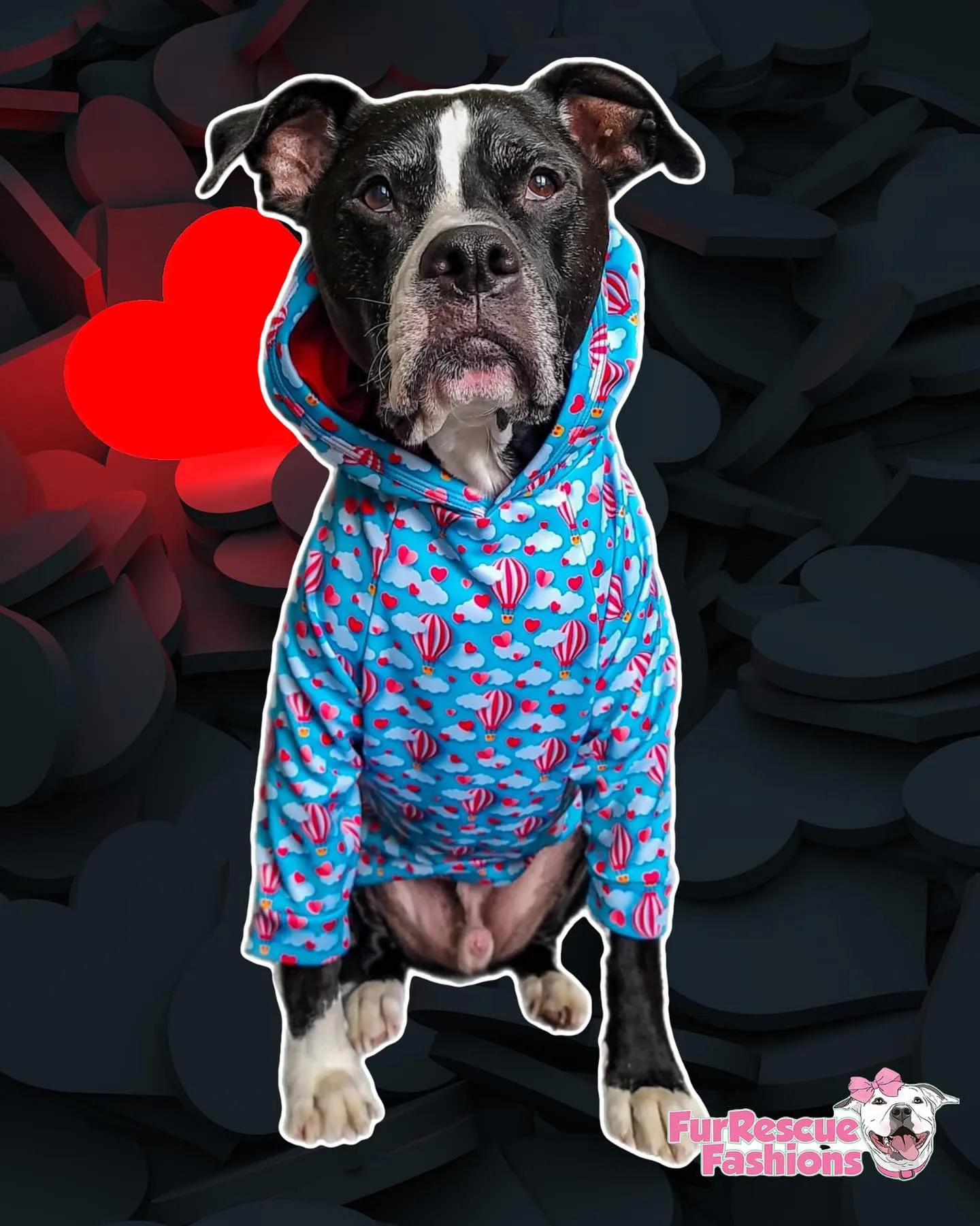 Come Fly With Me Balloons - PAWjama with Red Neck & Trim/Sleeves