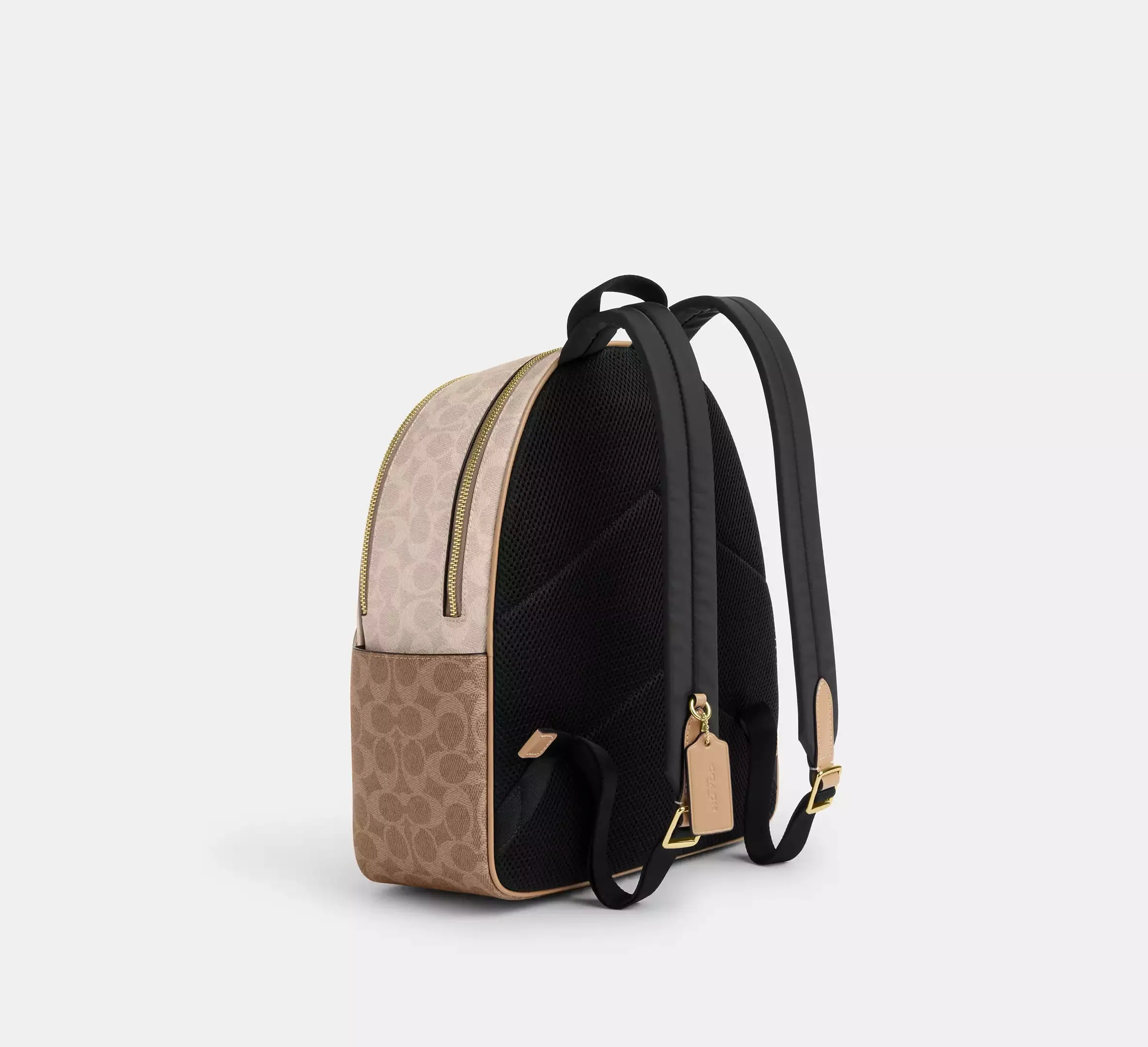 Court Backpack In Blocked Signature Canvas