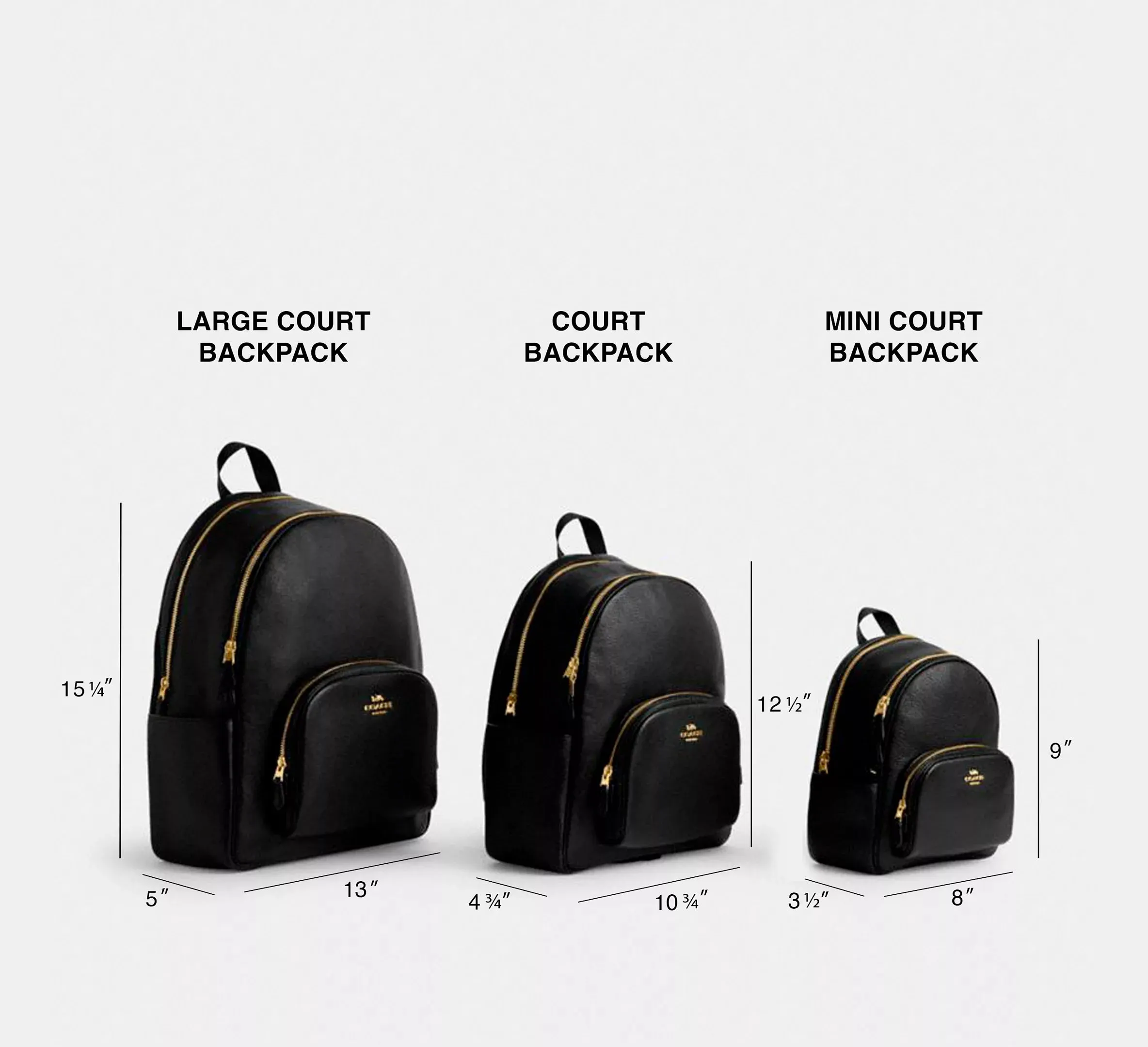 Court Backpack In Blocked Signature Canvas