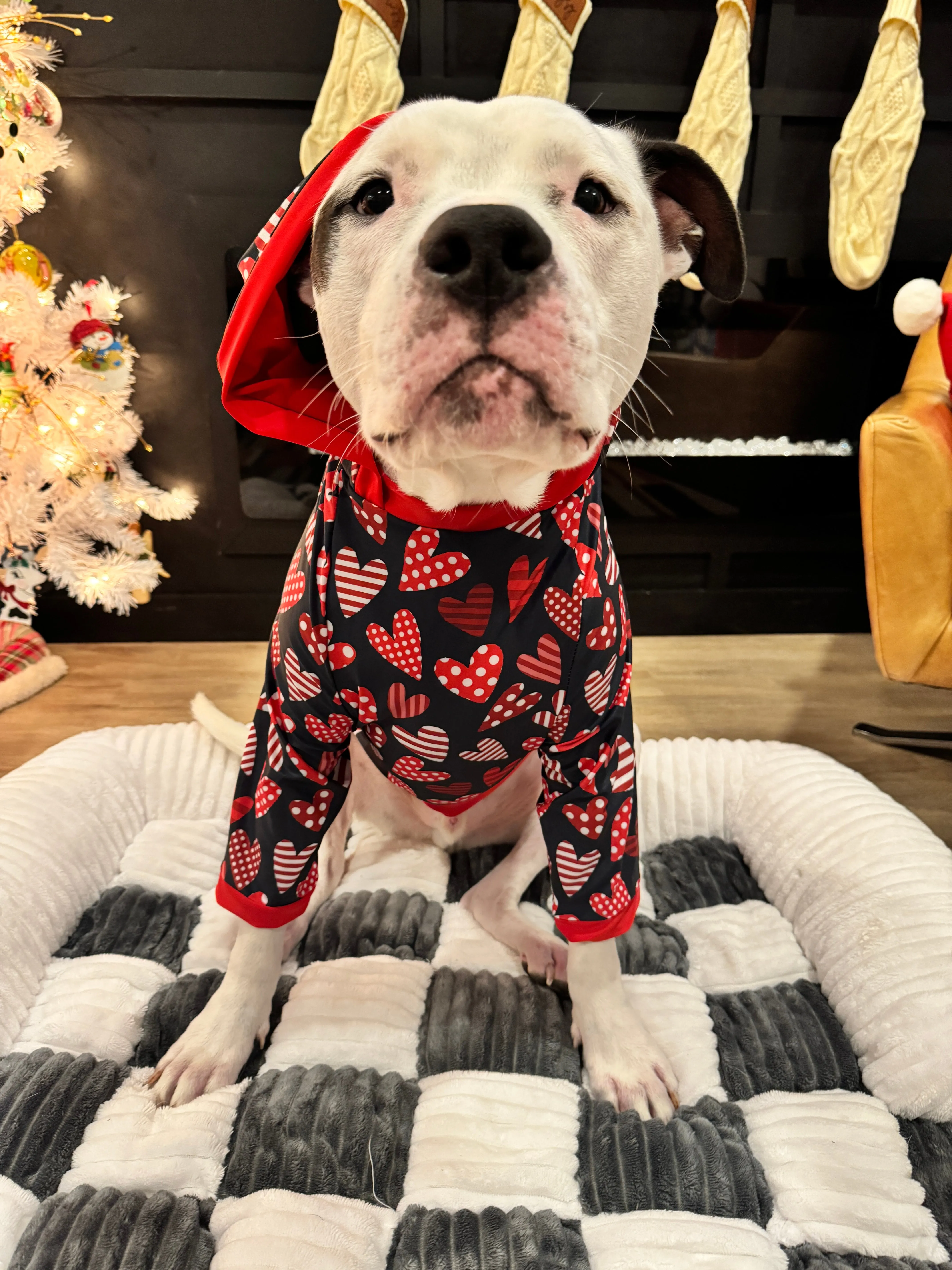 Crazy Hearts - I Love You - Dog Pajama with Red Neck & Trim/Sleeves