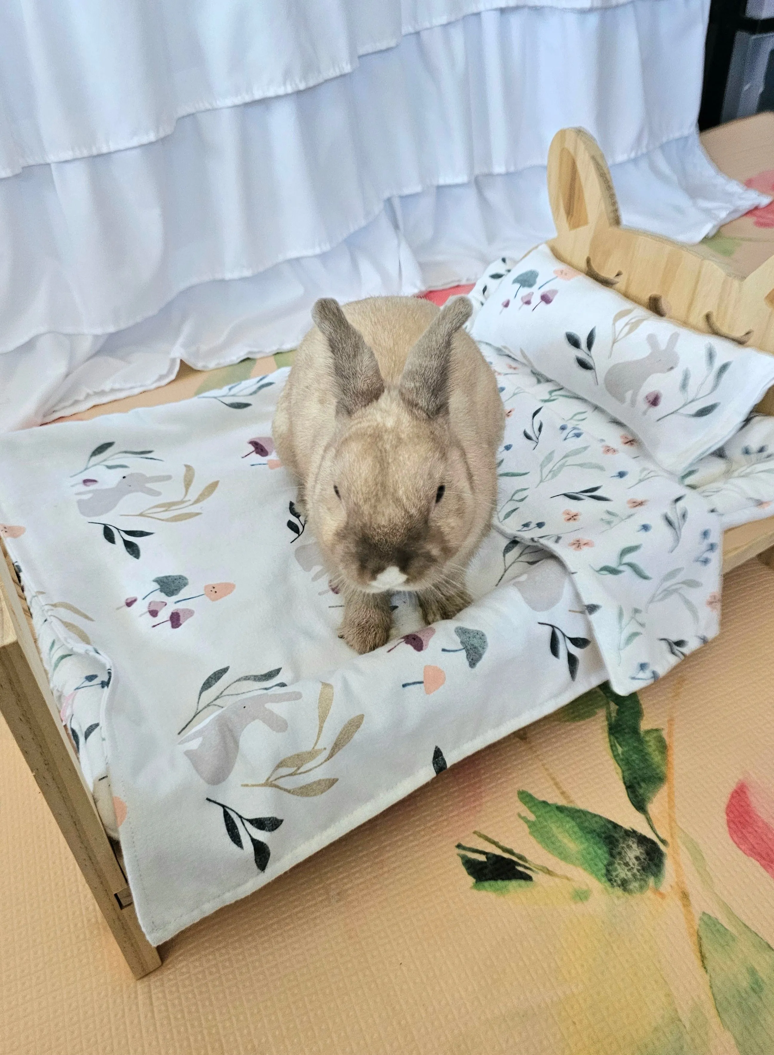 Design Your Own 100% Cotton Bunny Bedding Set for Wood Bunny Beds