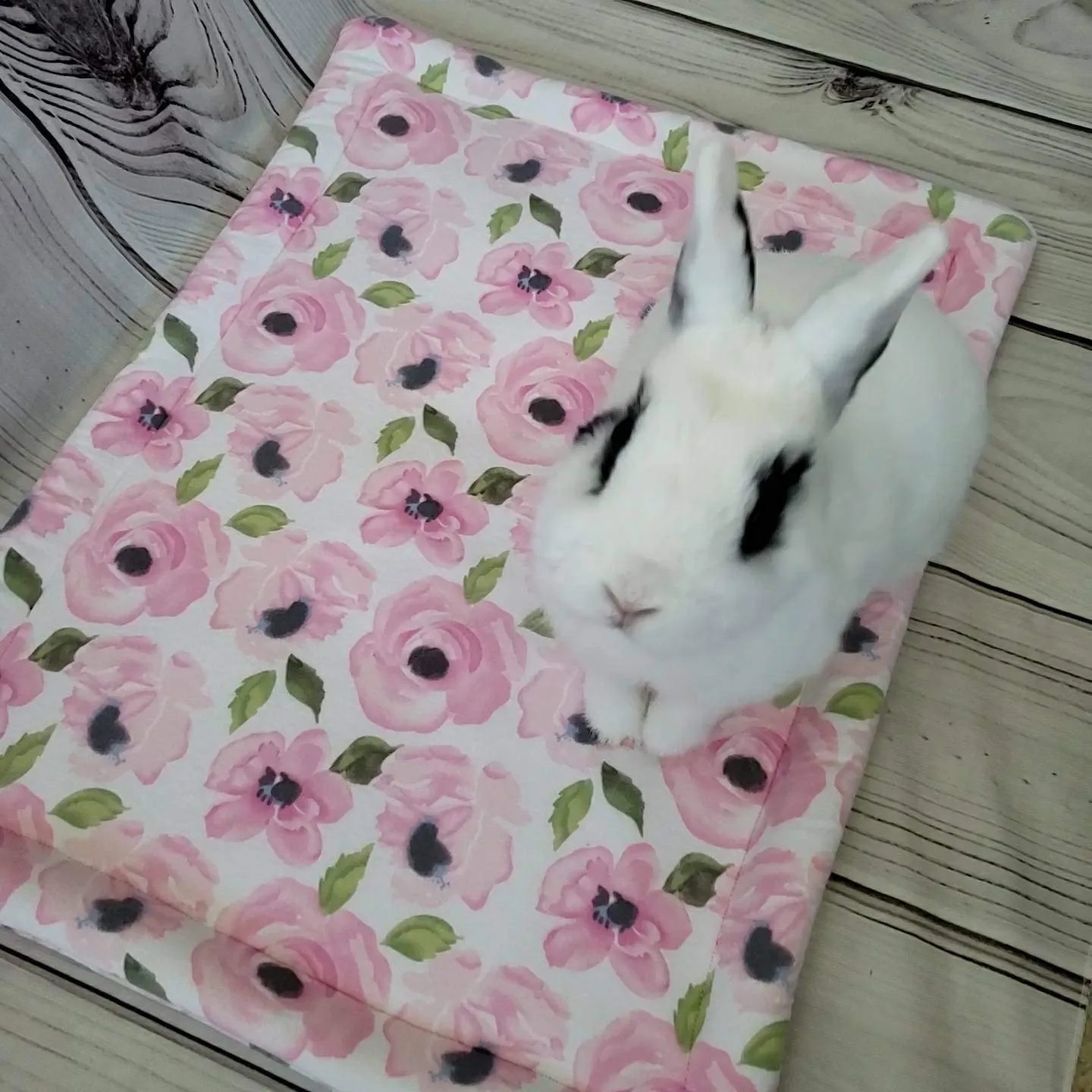 Design Your Own 100% Cotton Bunny Flop Pad in 6 Sizes - Small Mattress, Medium, Large or Xlarge Free US Shipping