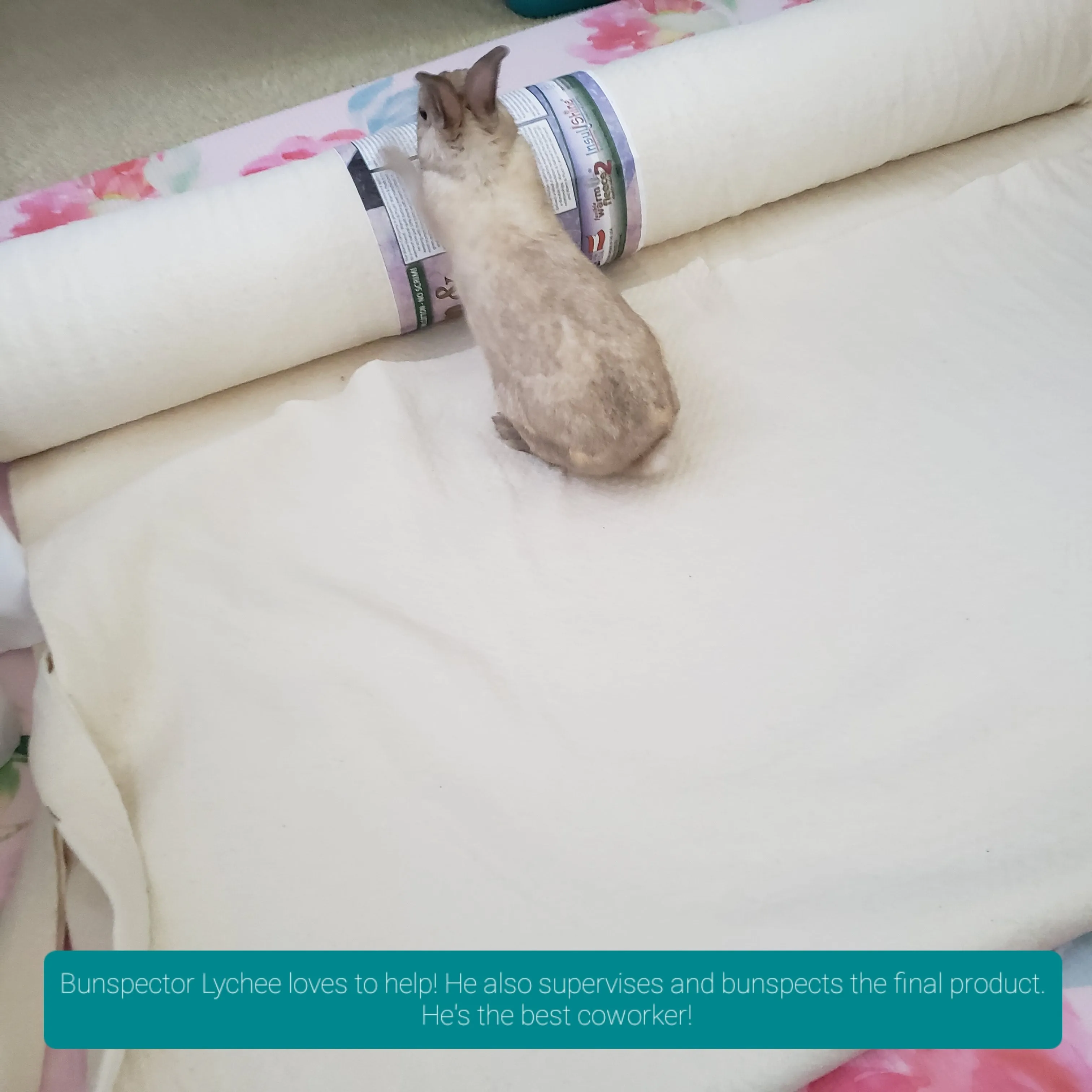 Design Your Own 100% Cotton Bunny Flop Pad in 6 Sizes - Small Mattress, Medium, Large or Xlarge Free US Shipping