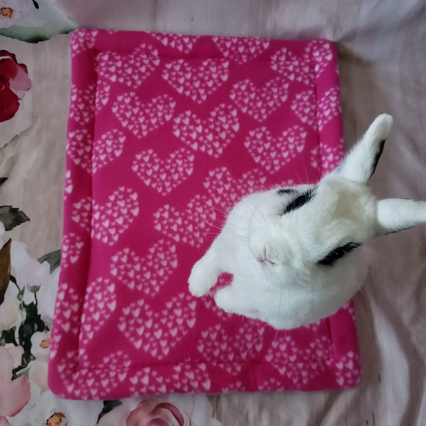 Design Your Own Polyester Fleece Flop Pad Free US Shipping