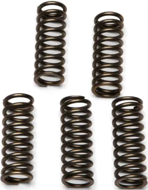 EBC CSK112 Redline Clutch Springs