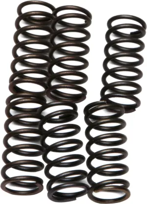 EBC CSK38 Redline Clutch Springs