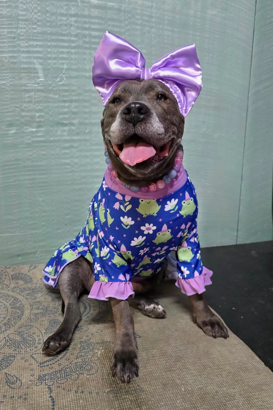 Frog-et About It - Dog Pajama with Lavender Neck & Trim/Sleeves