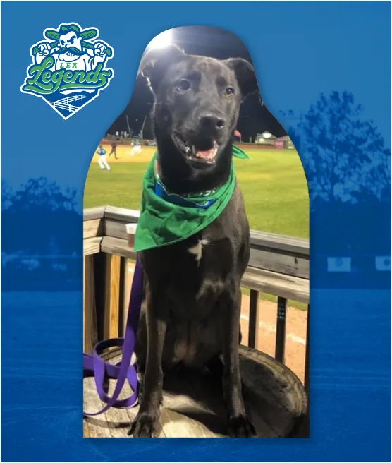 Lexington Legends Fan Cutouts