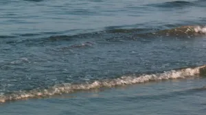Light Surf Rolls Onto Beach