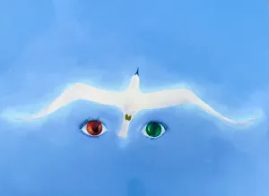 Lizzie Reid, "Sighting the messenger"