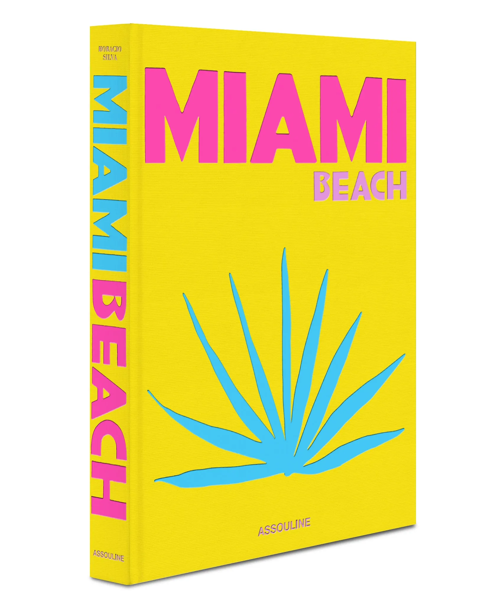 miami beach - book