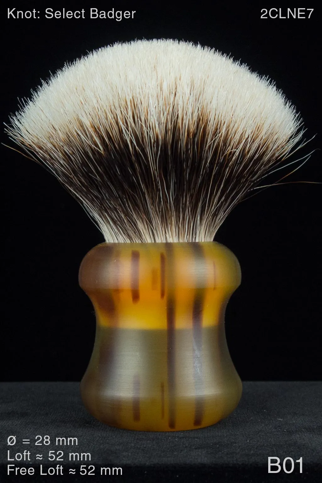 Moe 28 mm Satin Tortoise