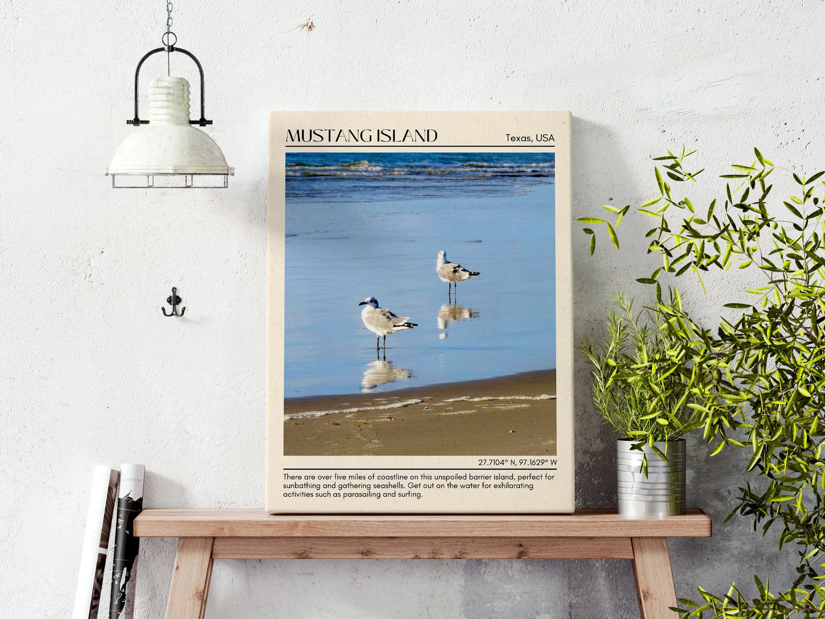 Mustang Island Wall Canvas, USA