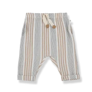 One More In The Family- ROBERTO petroleum pants