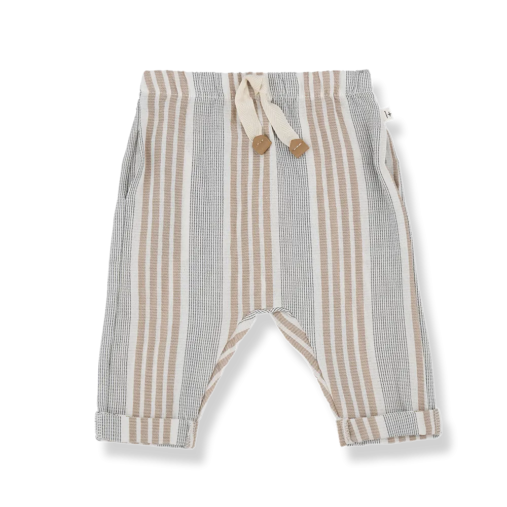 One More In The Family- ROBERTO petroleum pants
