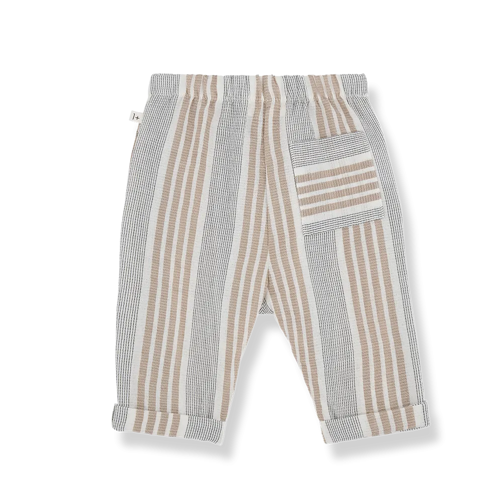 One More In The Family- ROBERTO petroleum pants