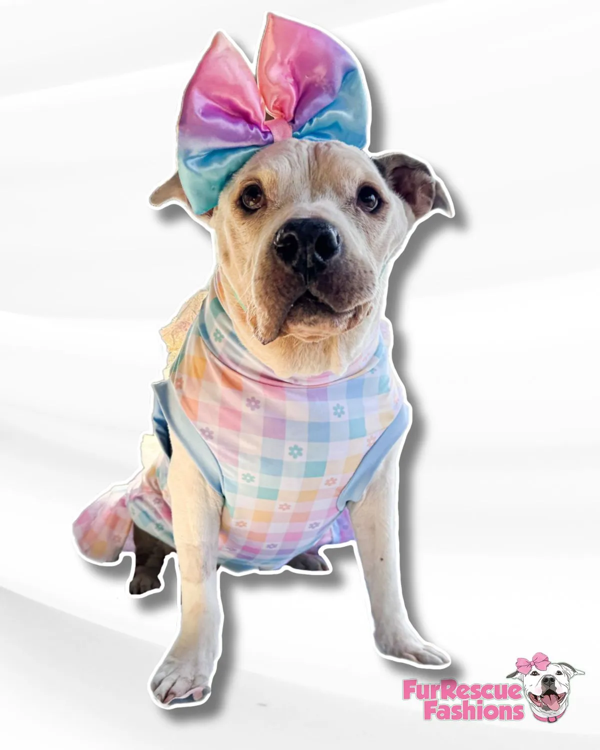 Pastel Plaid - Dog Pajama with Lavender Neck & Trim/Sleeves