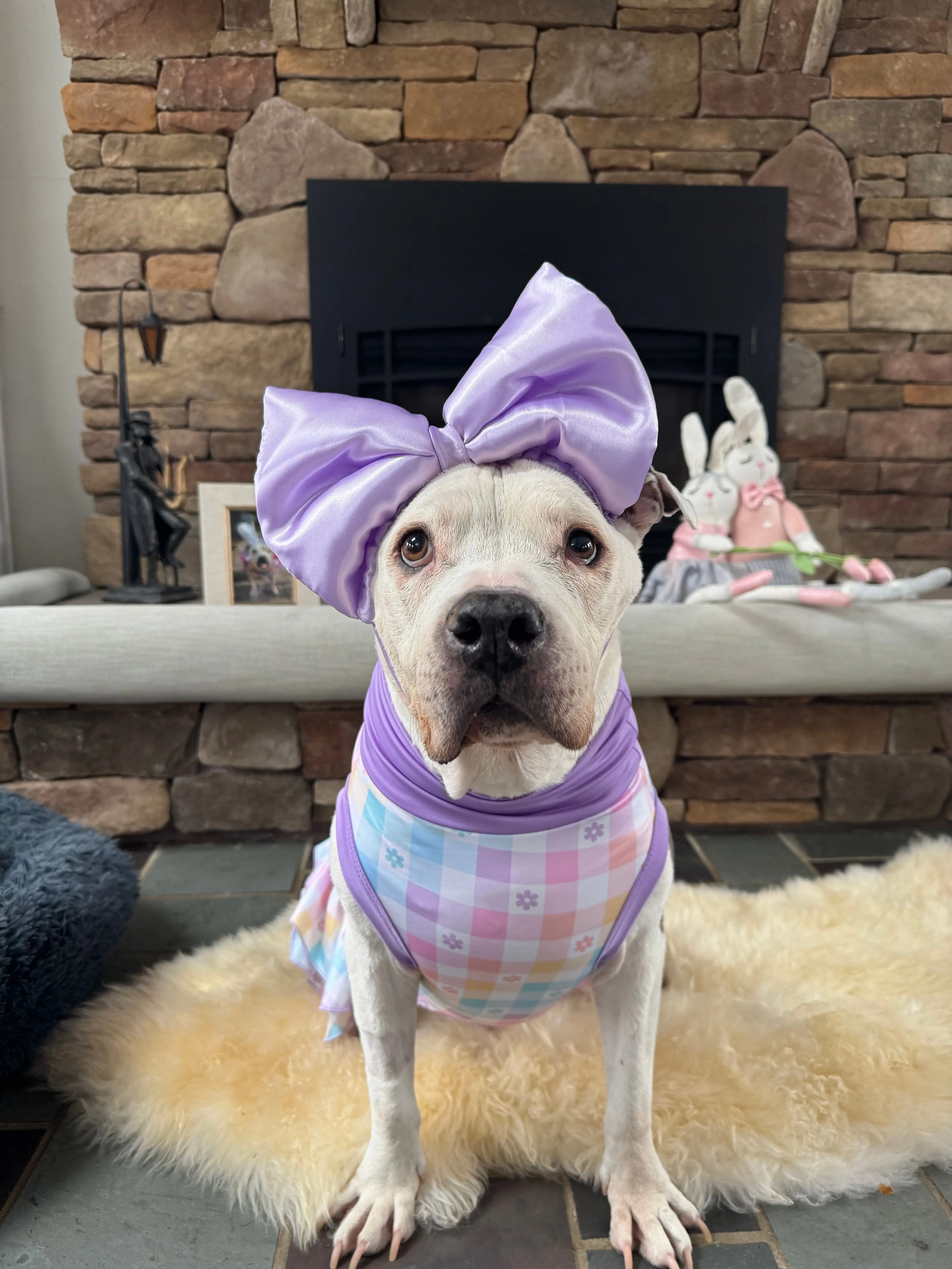Pastel Plaid - Dog Pajama with Lavender Neck & Trim/Sleeves