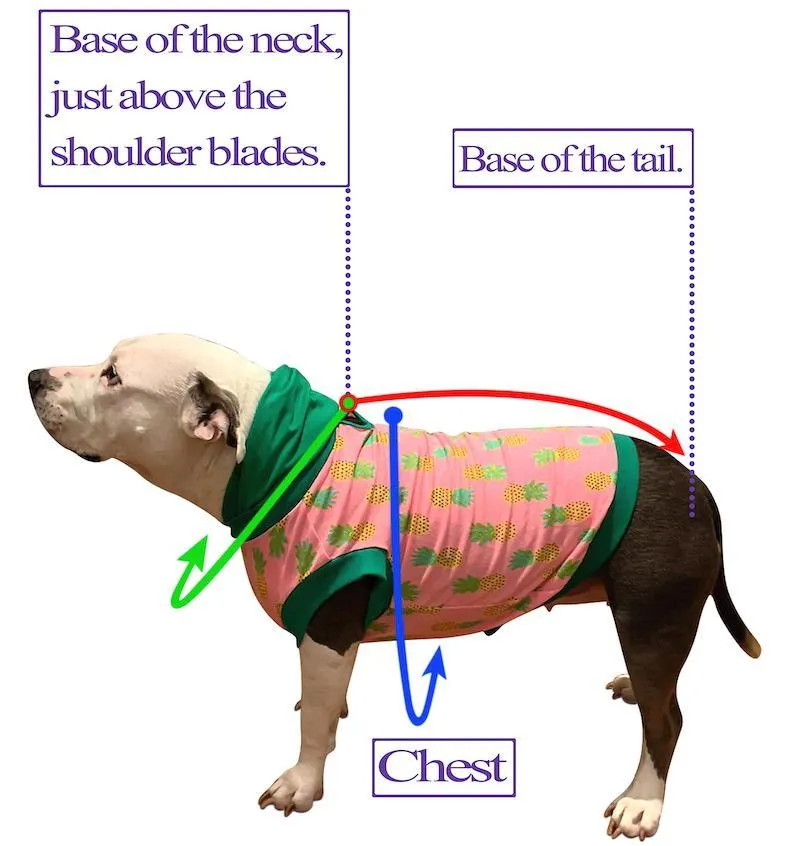 Pink Ribbed Classy Dog Shirt with Rose