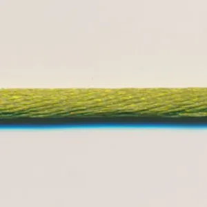 Polyester Satin Cord #66 Uguisu