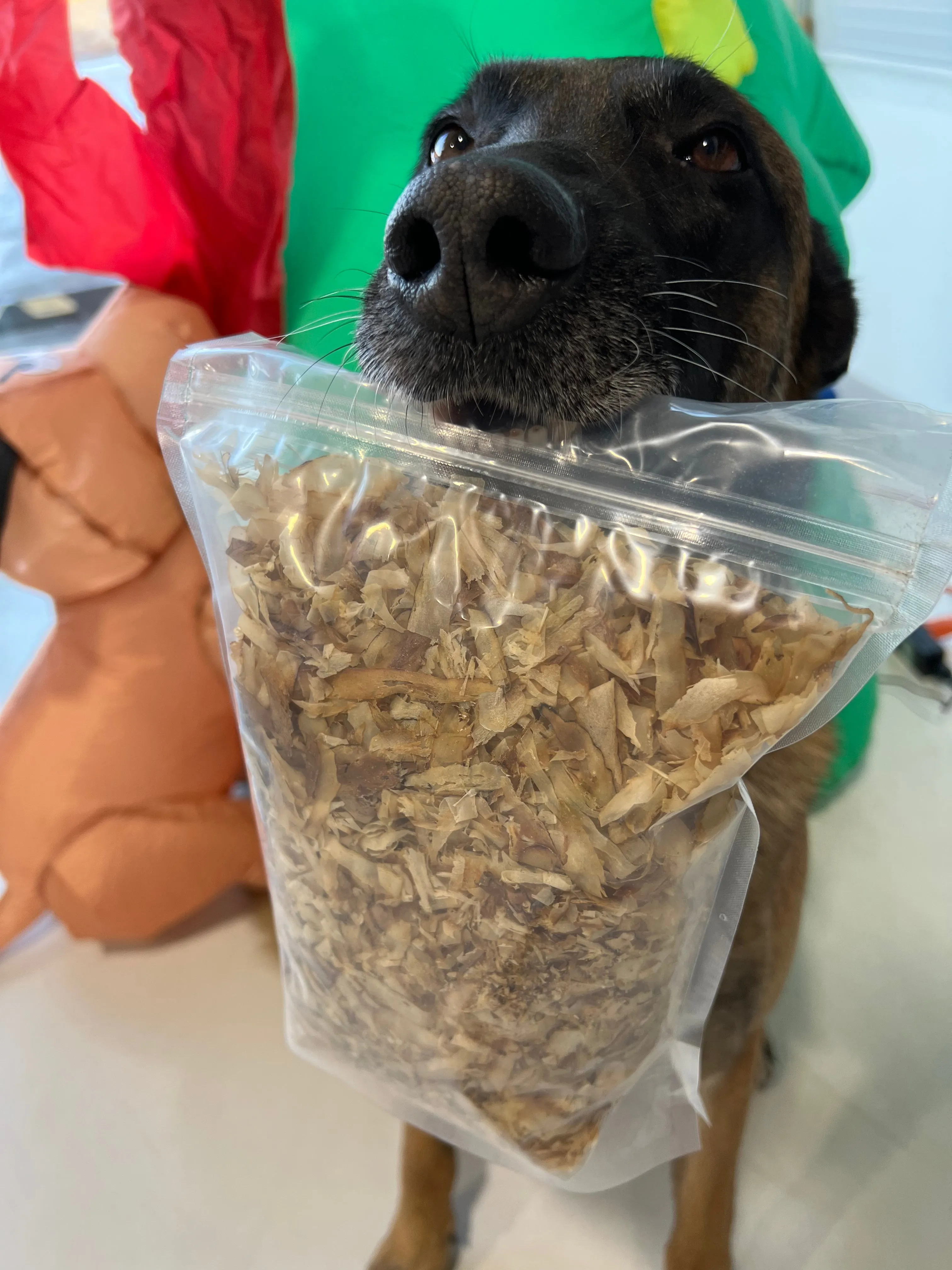 Premium Mackerel Flakes