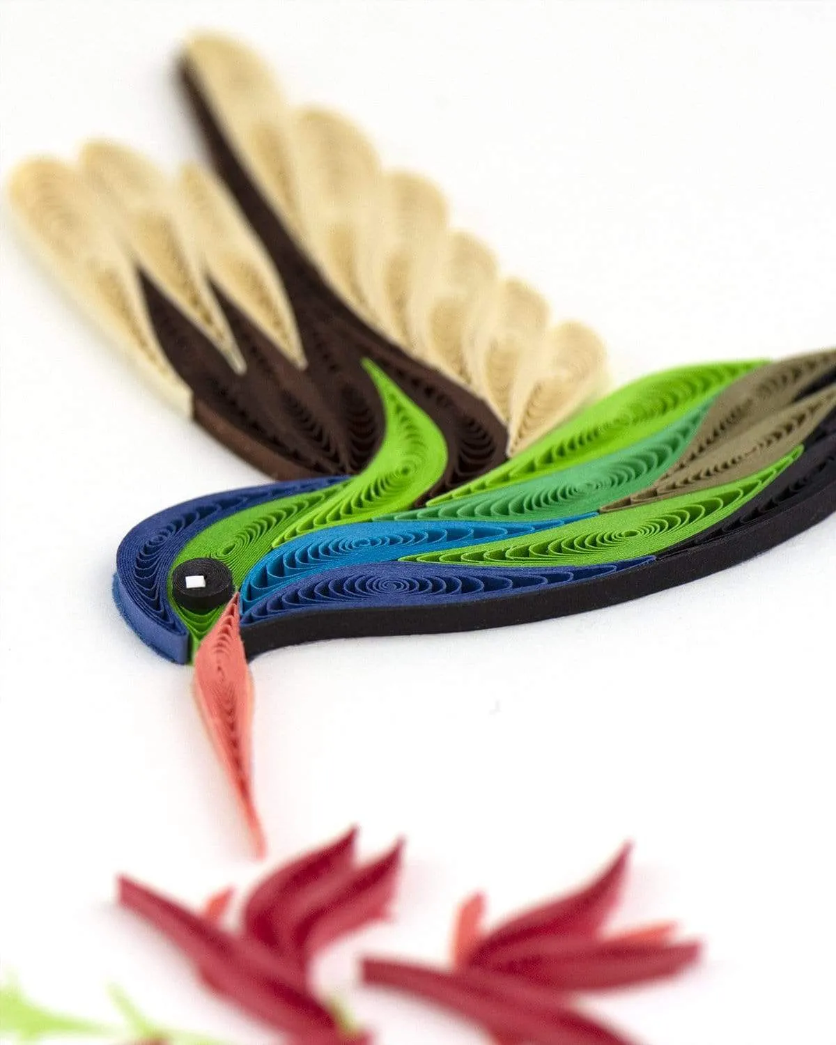 Quilled Broad-billed Hummingbird Greeting Card