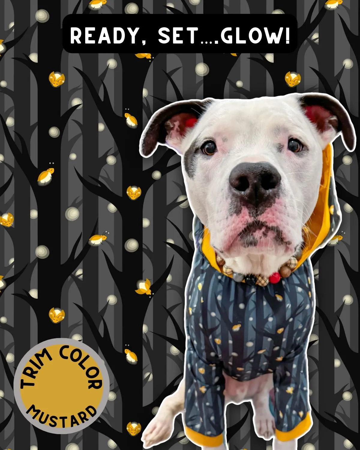 Ready, Set... Glow - Dog Pajama with Mustard Neck & Trim/Sleeves