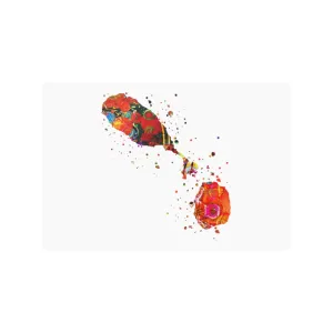 Satin Posters (210gsm)