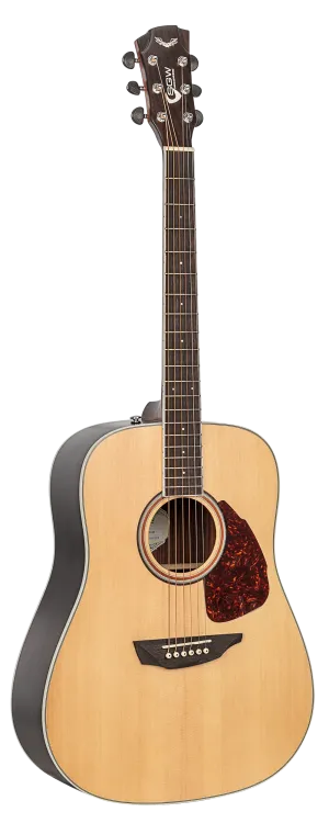 SGW Dreadnought acoustic guitar.