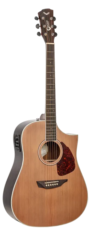 SGW Dreadnought electric/acoustic guitar.