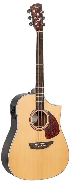 SGW Dreadnought electric/acoustic guitar.