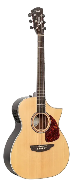 SGW Orchestra electric/acoustic guitar.