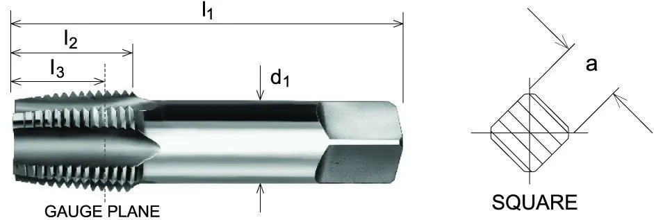 SOMTA - Series 575 HSS BSPT Tap 1-1/2" (Bottoming Lead, Taper Form)