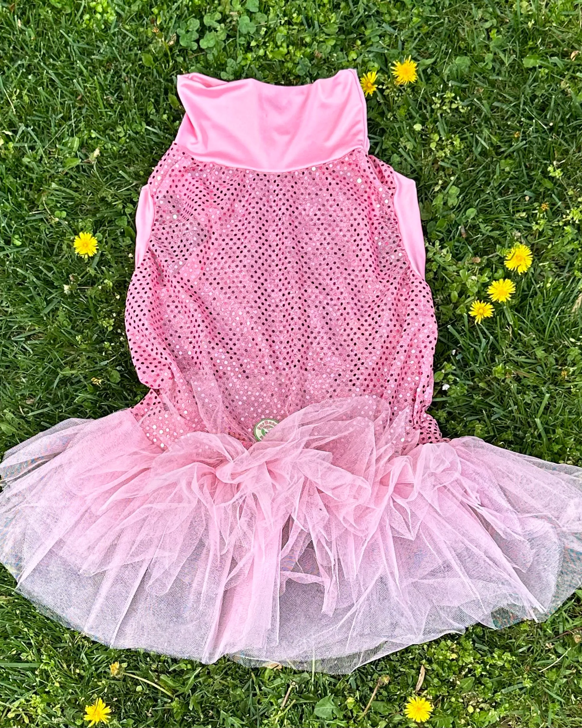 Sparkle and Shine Dog Tutu Dress