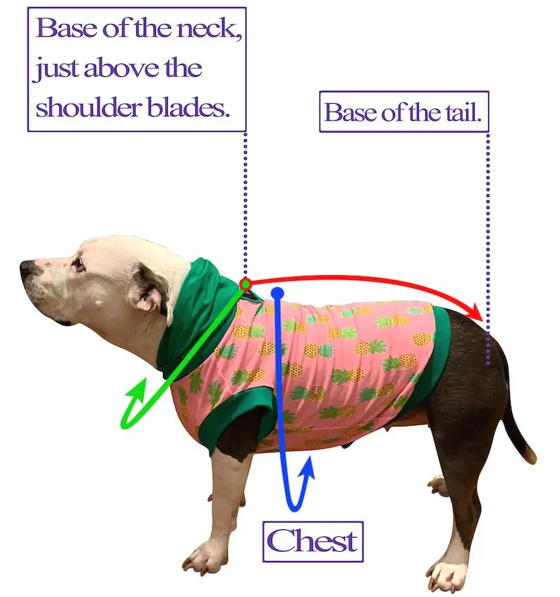 Sparkle and Shine Dog Tutu Dress