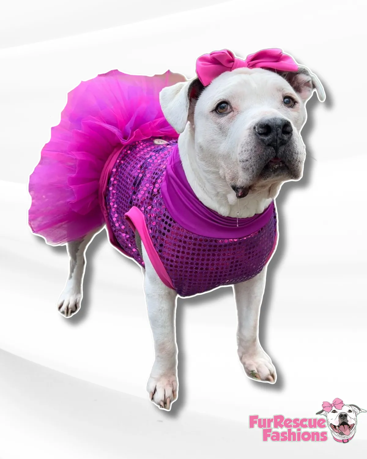 Sparkle and Shine Dog Tutu Dress