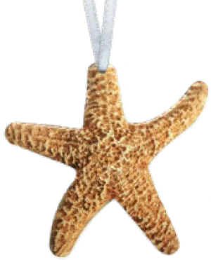 Starfish ornament #8373 by d'ears