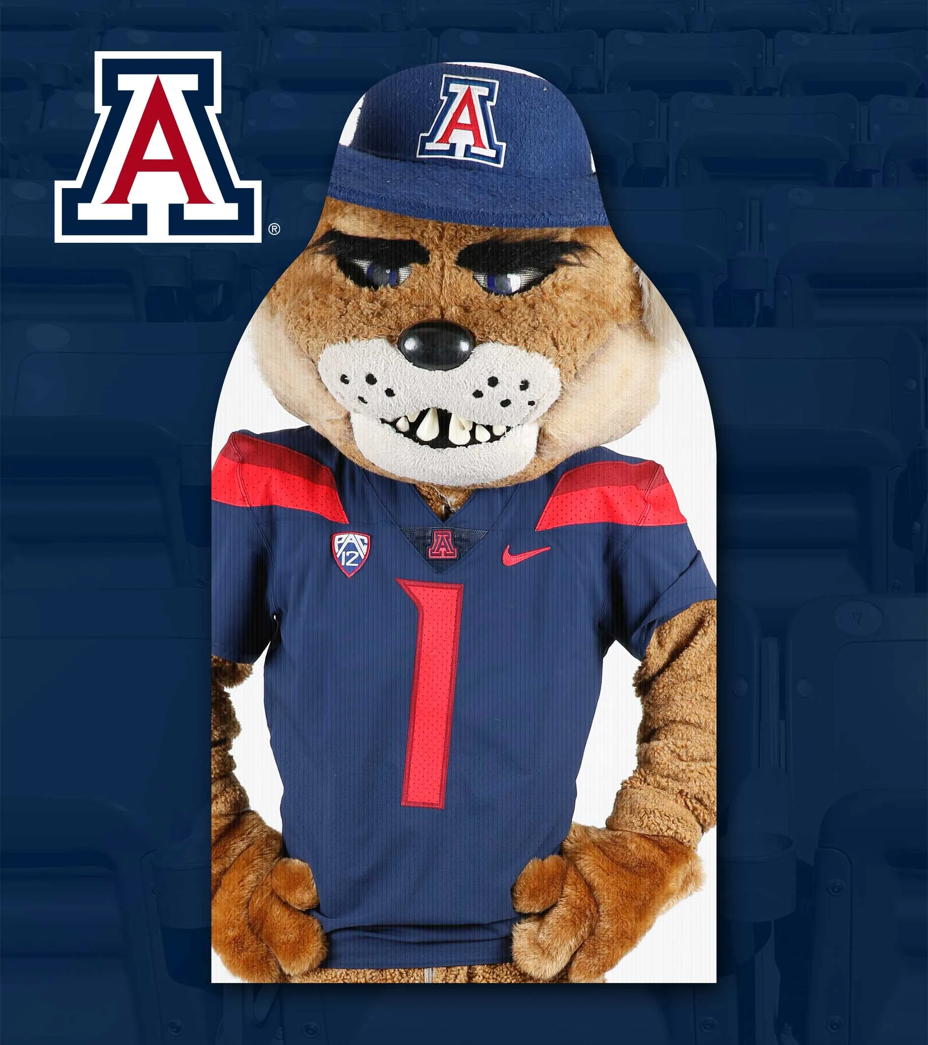 University of Arizona