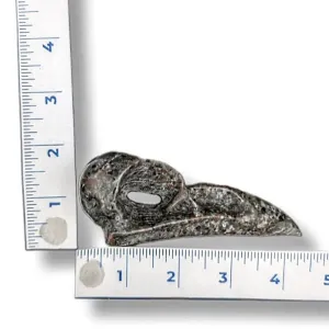 Yooperlite Raven Skull 104g Approximate